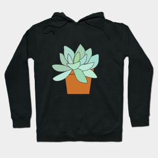 succulent in a pot Hoodie